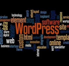 wordpress-website-designing-services-500x500